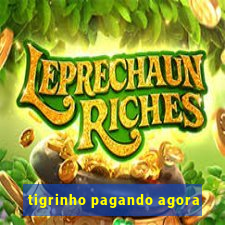 tigrinho pagando agora