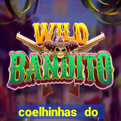 coelhinhas do brasil jp