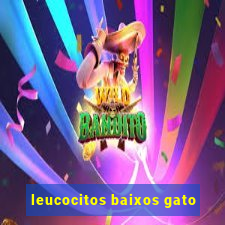 leucocitos baixos gato