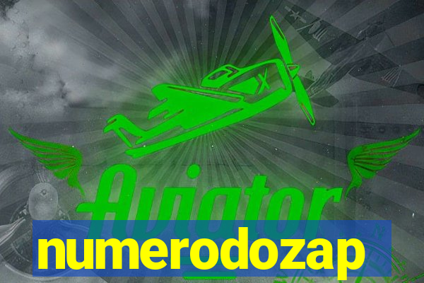 numerodozap