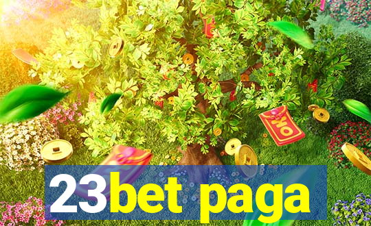 23bet paga