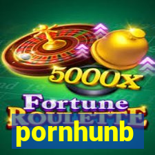 pornhunb