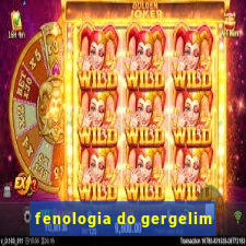 fenologia do gergelim