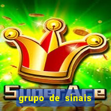 grupo de sinais trader telegram